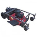 lawn-mower-1 250.jpg
